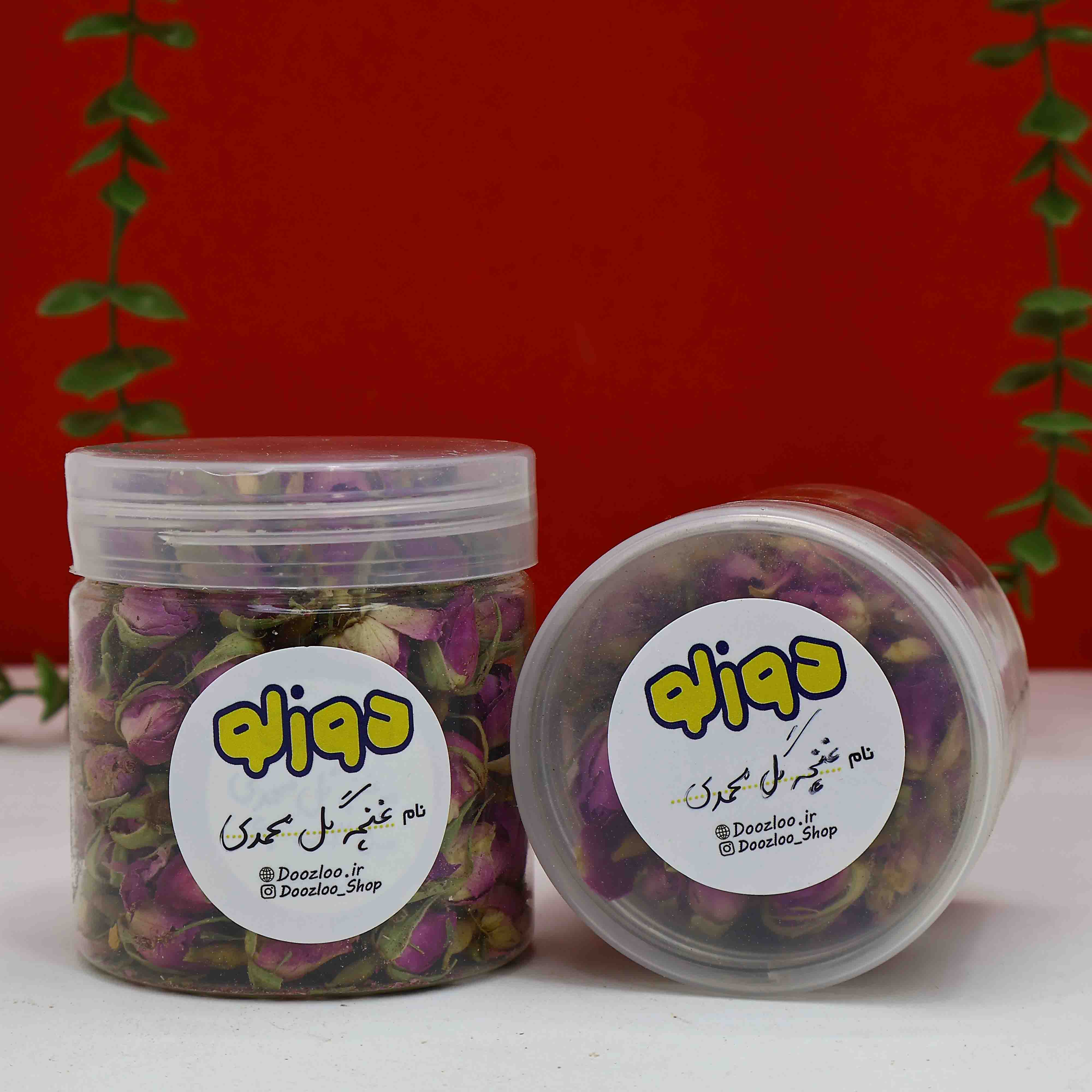 غنچه گل محمدی