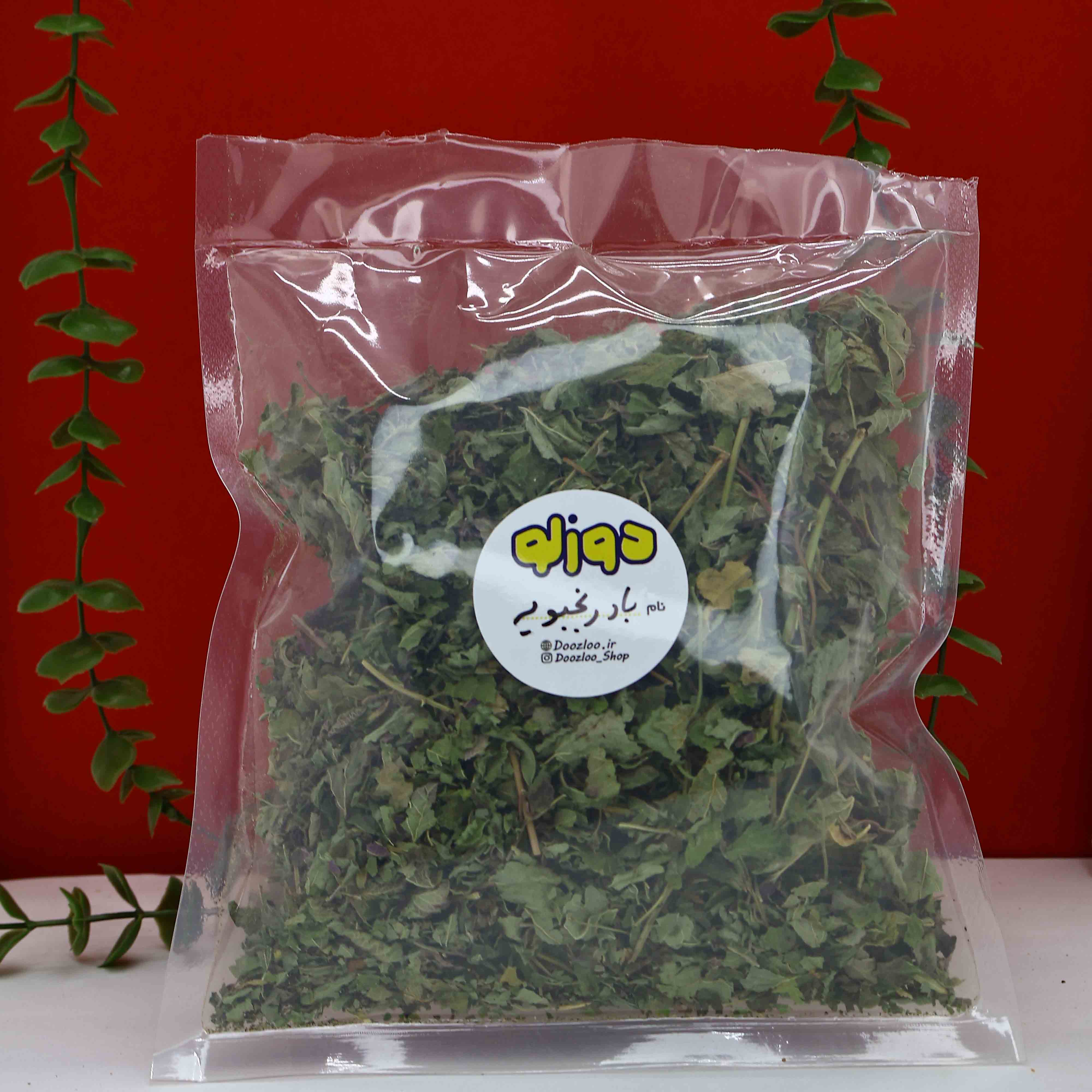 بادرنجبویه