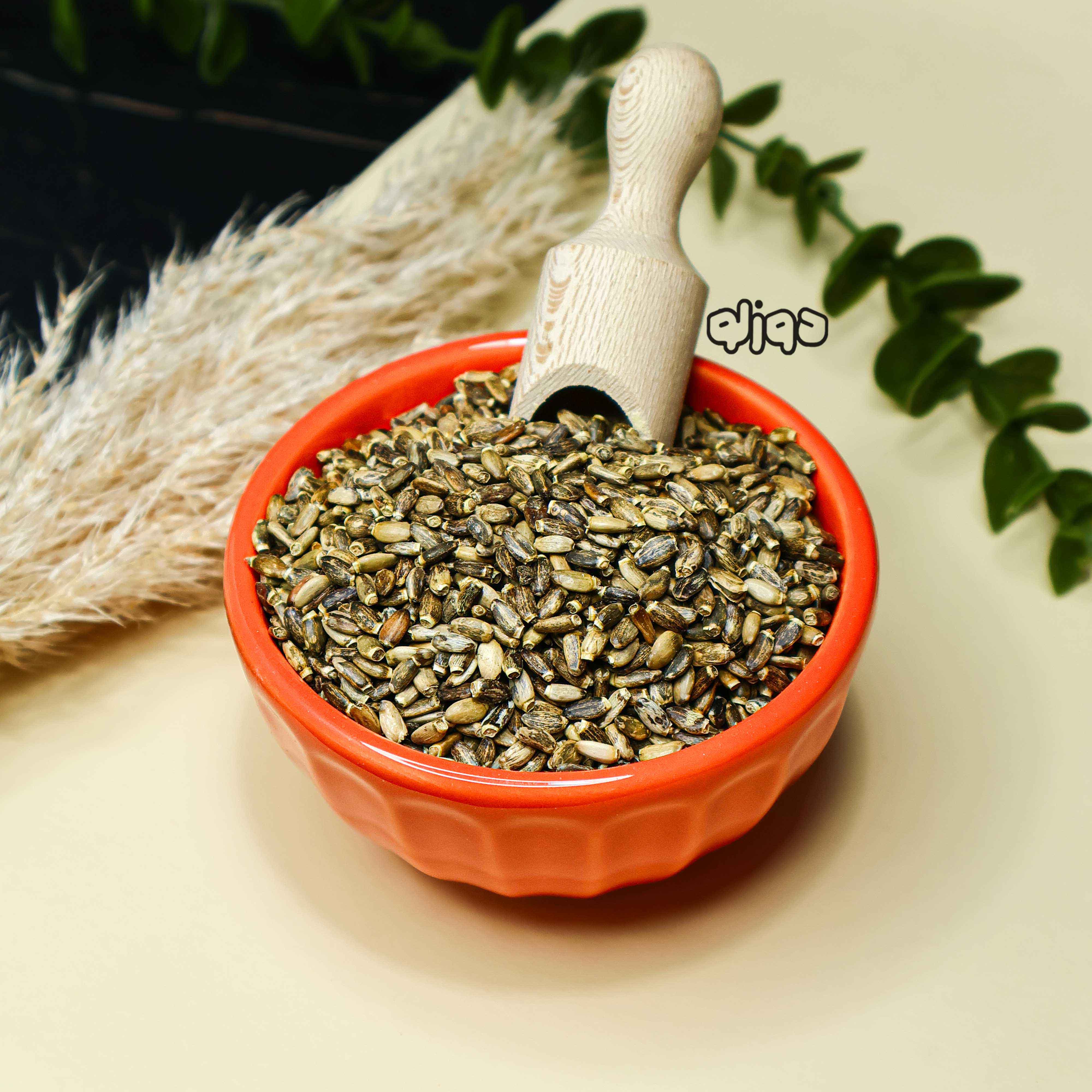 تخم گیاه خارمریم